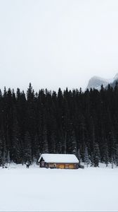 Preview wallpaper house, snow, trees, mountain, winter, nature