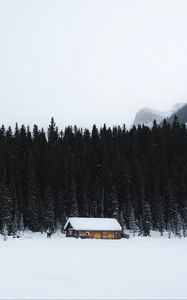 Preview wallpaper house, snow, trees, mountain, winter, nature