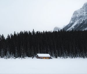 Preview wallpaper house, snow, trees, mountain, winter, nature