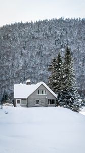 Preview wallpaper house, snow, winter, forest, nature