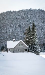 Preview wallpaper house, snow, winter, forest, nature