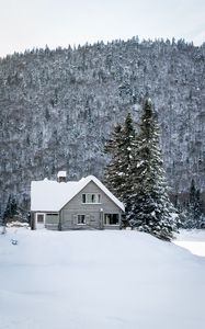 Preview wallpaper house, snow, winter, forest, nature