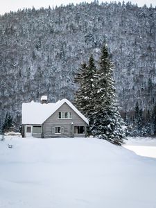 Preview wallpaper house, snow, winter, forest, nature