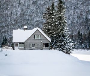 Preview wallpaper house, snow, winter, forest, nature