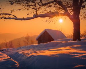 Preview wallpaper house, snow, winter, tree, sunrise