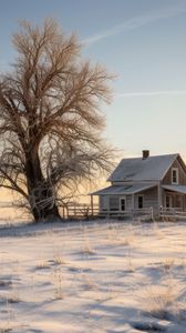 Preview wallpaper house, tree, snow, winter, sunset