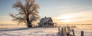 Preview wallpaper house, tree, snow, winter, sunset