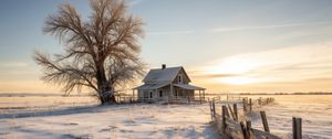 Preview wallpaper house, tree, snow, winter, sunset