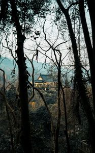 Preview wallpaper house, trees, branches, roof, fog