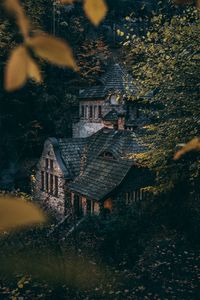 Preview wallpaper house, trees, bushes, forest