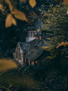 Preview wallpaper house, trees, bushes, forest