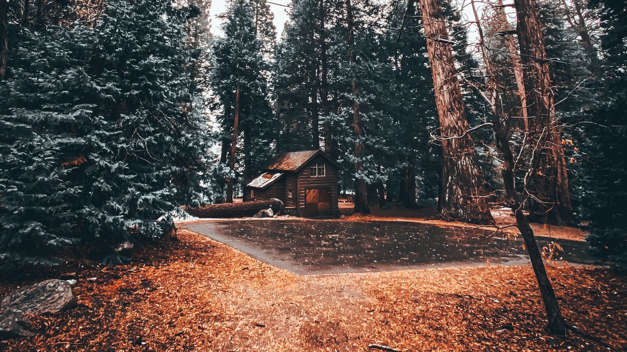 Wallpaper house, trees, forest, comfort, alone, nature