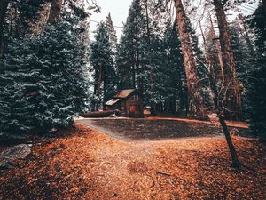 Preview wallpaper house, trees, forest, comfort, alone, nature