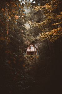 Preview wallpaper house, trees, forest, nature, solitude