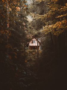 Preview wallpaper house, trees, forest, nature, solitude
