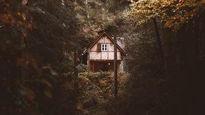 Preview wallpaper house, trees, forest, nature, solitude