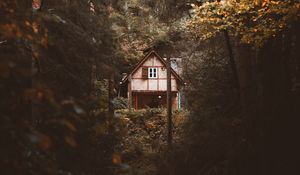 Preview wallpaper house, trees, forest, nature, solitude