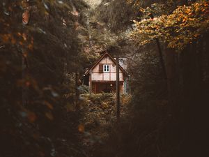 Preview wallpaper house, trees, forest, nature, solitude