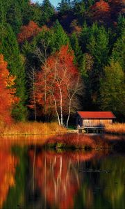 Preview wallpaper house, trees, forest, lake, reflection, autumn, nature