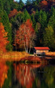 Preview wallpaper house, trees, forest, lake, reflection, autumn, nature