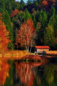 Preview wallpaper house, trees, forest, lake, reflection, autumn, nature