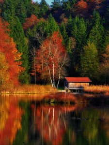 Preview wallpaper house, trees, forest, lake, reflection, autumn, nature