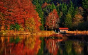 Preview wallpaper house, trees, forest, lake, reflection, autumn, nature