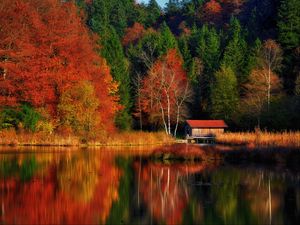 Preview wallpaper house, trees, forest, lake, reflection, autumn, nature