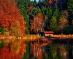 Preview wallpaper house, trees, forest, lake, reflection, autumn, nature