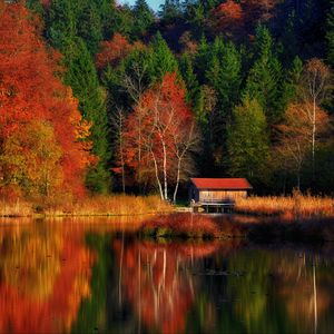 Preview wallpaper house, trees, forest, lake, reflection, autumn, nature