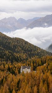 Preview wallpaper house, trees, forest, valley, mountains, fog