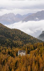 Preview wallpaper house, trees, forest, valley, mountains, fog