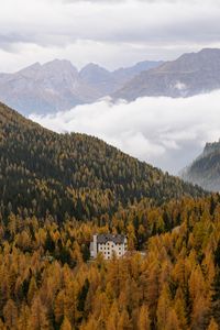 Preview wallpaper house, trees, forest, valley, mountains, fog