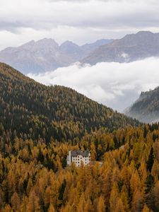 Preview wallpaper house, trees, forest, valley, mountains, fog