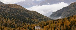 Preview wallpaper house, trees, forest, valley, mountains, fog