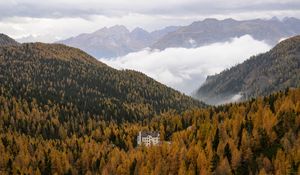 Preview wallpaper house, trees, forest, valley, mountains, fog