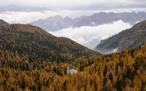 Preview wallpaper house, trees, forest, valley, mountains, fog