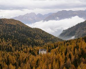 Preview wallpaper house, trees, forest, valley, mountains, fog