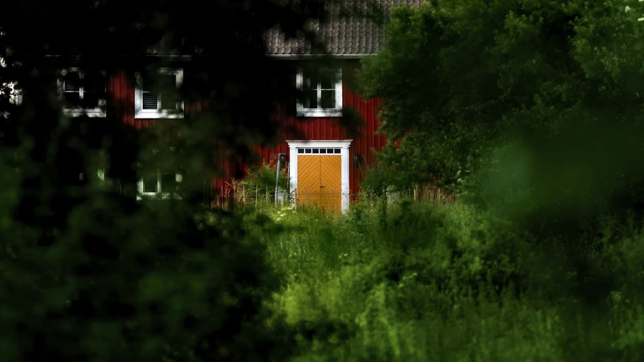 Wallpaper house, trees, grass, nature