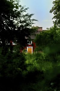 Preview wallpaper house, trees, grass, nature