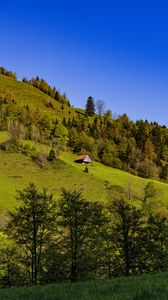 Preview wallpaper house, trees, hill, mountains, sky, nature