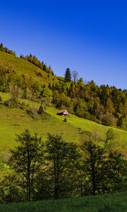 Preview wallpaper house, trees, hill, mountains, sky, nature