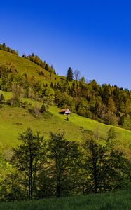 Preview wallpaper house, trees, hill, mountains, sky, nature