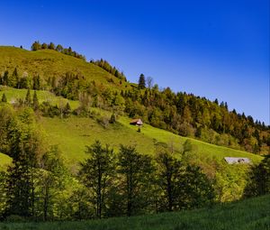 Preview wallpaper house, trees, hill, mountains, sky, nature