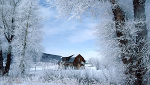 Preview wallpaper house, trees, hoarfrost