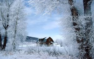 Preview wallpaper house, trees, hoarfrost