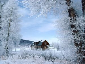 Preview wallpaper house, trees, hoarfrost