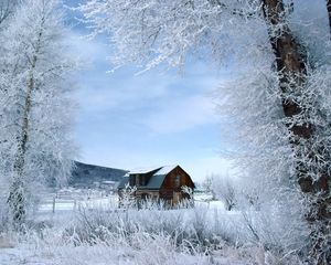 Preview wallpaper house, trees, hoarfrost