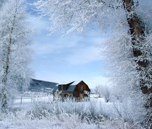 Preview wallpaper house, trees, hoarfrost