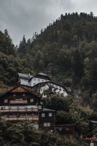 Preview wallpaper house, trees, mountain, slope, forest, building